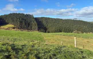  Milne Road, Purua