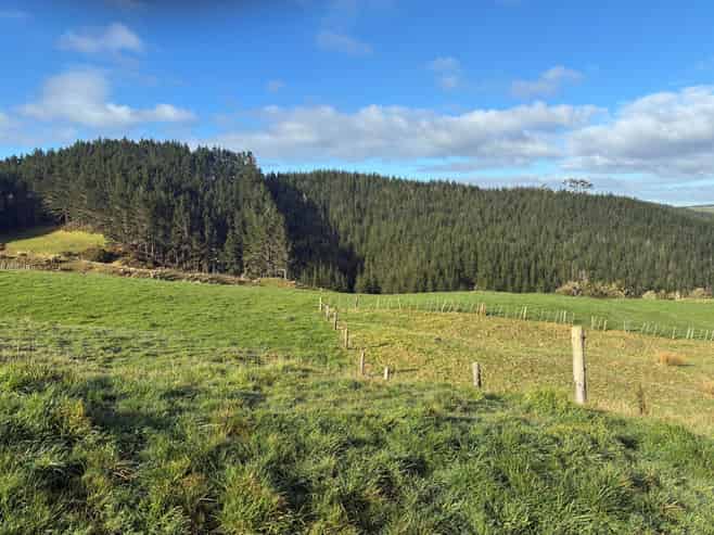  Milne Road, Purua