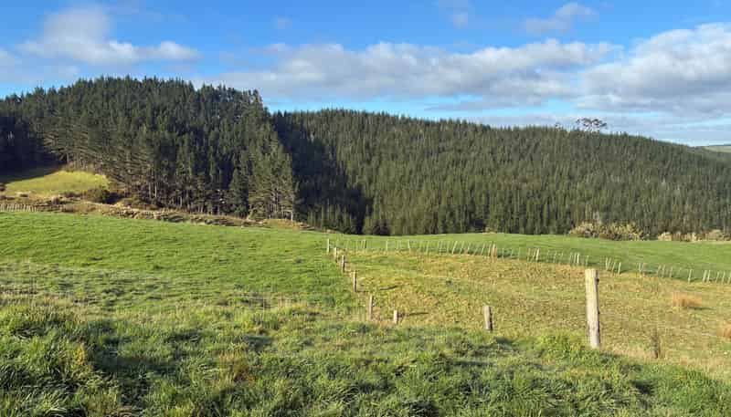  Milne Road, Purua