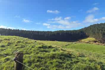  Milne Road, Purua