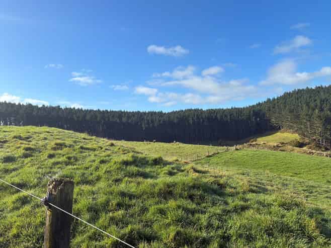  Milne Road, Purua