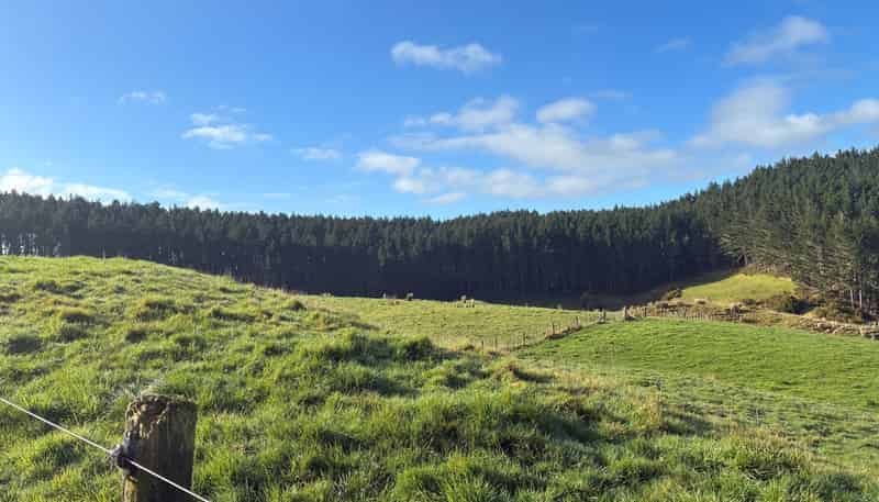  Milne Road, Purua