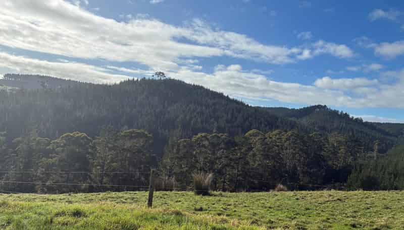  Milne Road, Purua