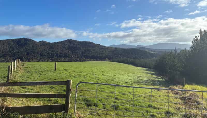  Milne Road, Purua
