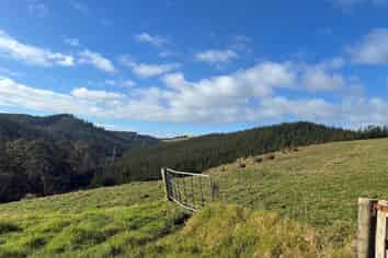  Milne Road, Purua