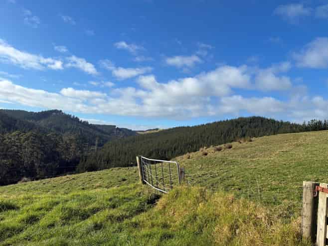  Milne Road, Purua