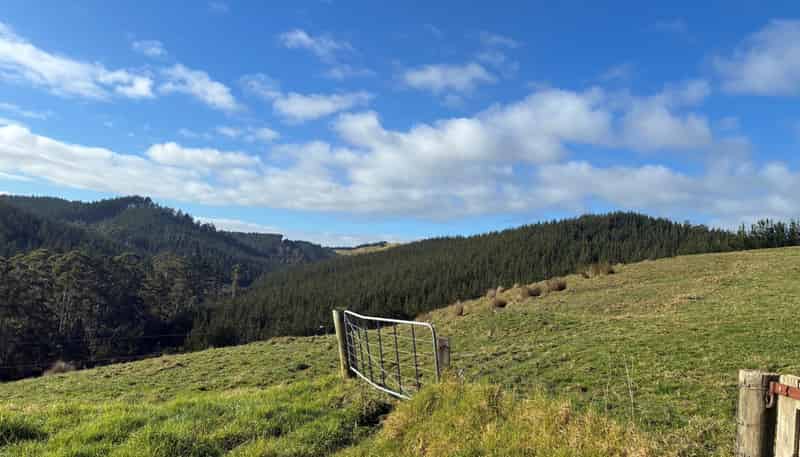  Milne Road, Purua