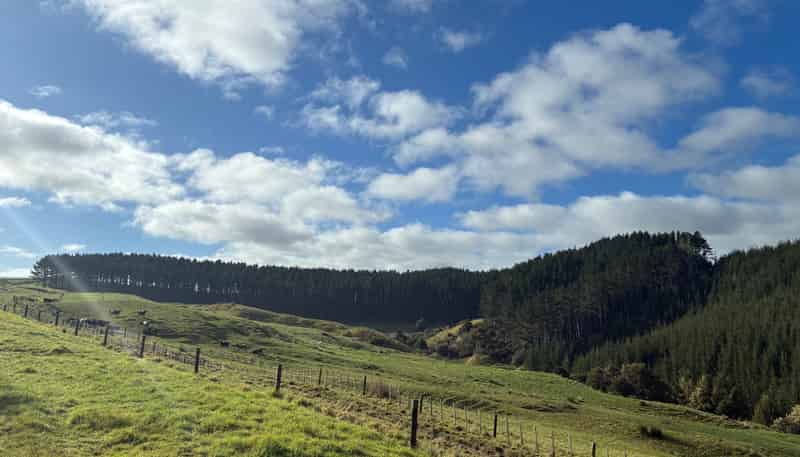  Milne Road, Purua