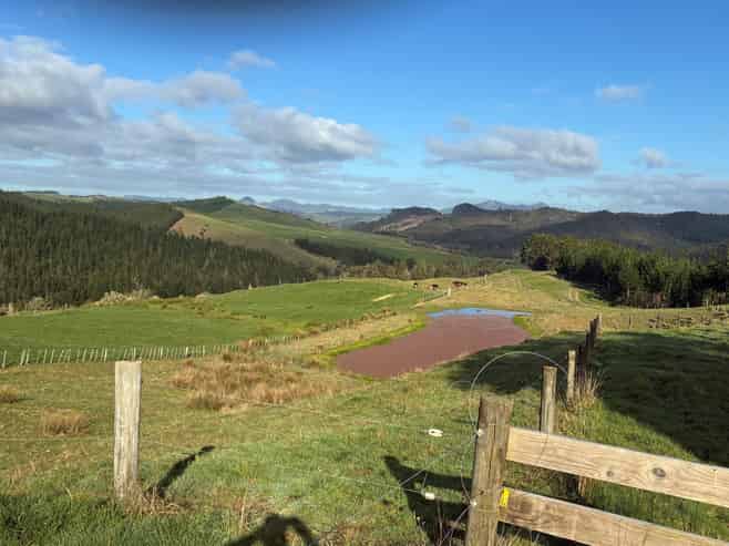  Milne Road, Purua