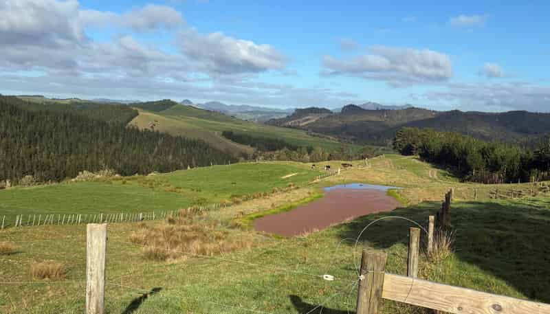  Milne Road, Purua