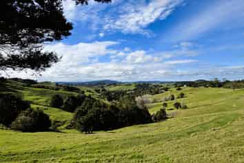 440 Arcadia Road, Maungaturoto