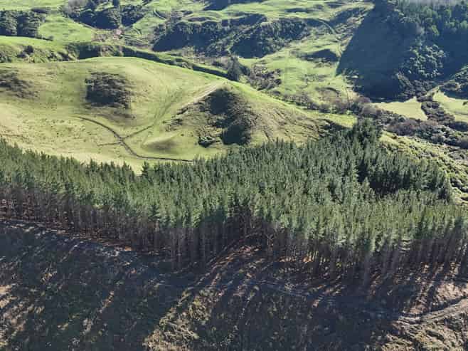  Waireka Road, Papaiti