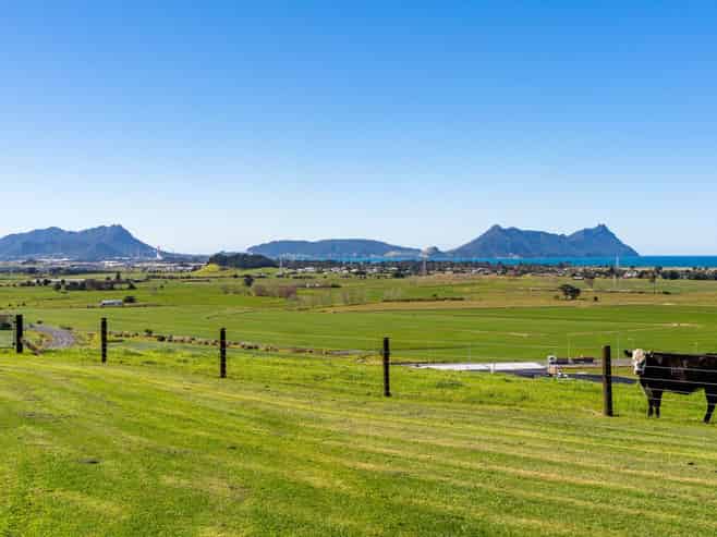 67 Heatherlea Drive, Ruakaka