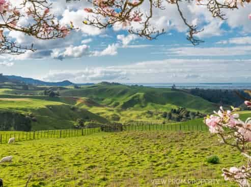 1102 No 2 Road, Te Puke