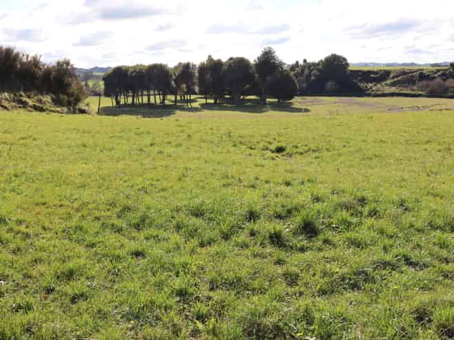 Before 775 Bird Road, Pukengahu