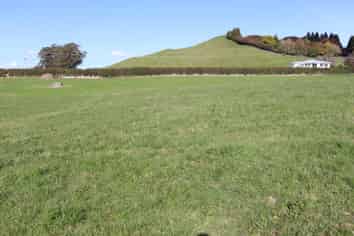 Before 775 Bird Road, Pukengahu