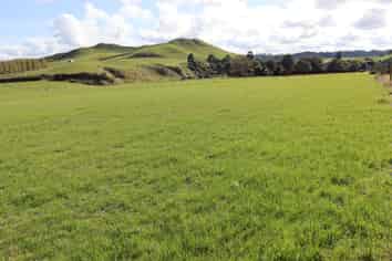 Before 775 Bird Road, Pukengahu