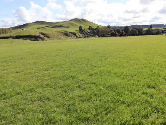 Before 775 Bird Road, Pukengahu
