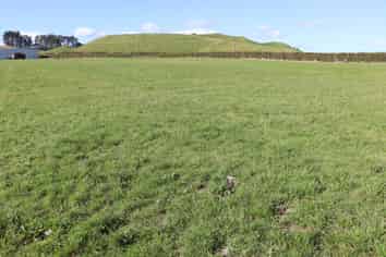 Before 775 Bird Road, Pukengahu