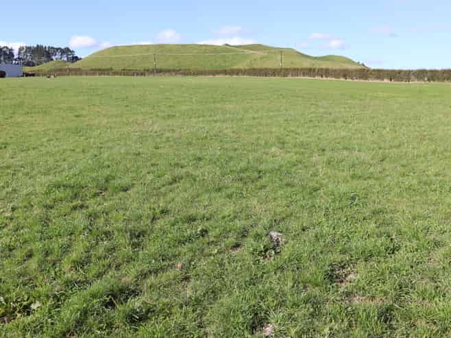 Before 775 Bird Road, Pukengahu