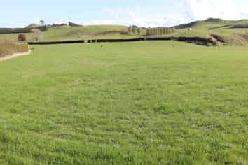 Before 775 Bird Road, Pukengahu
