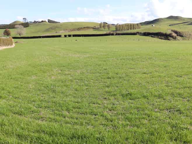 Before 775 Bird Road, Pukengahu
