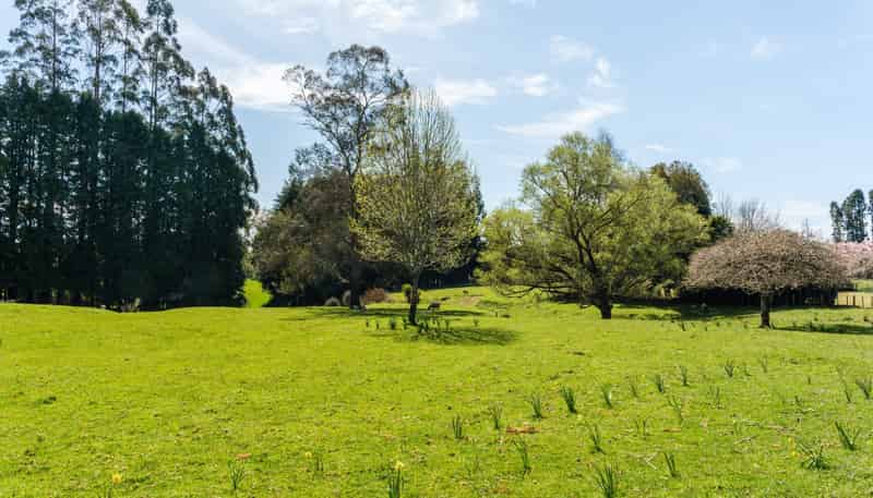 262 Ruatiti Road, Raetihi
