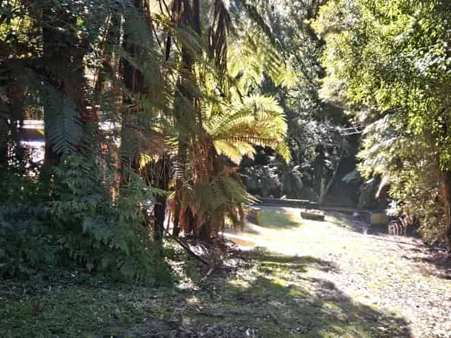 2552 Kauarapaoa Road, Paparangi