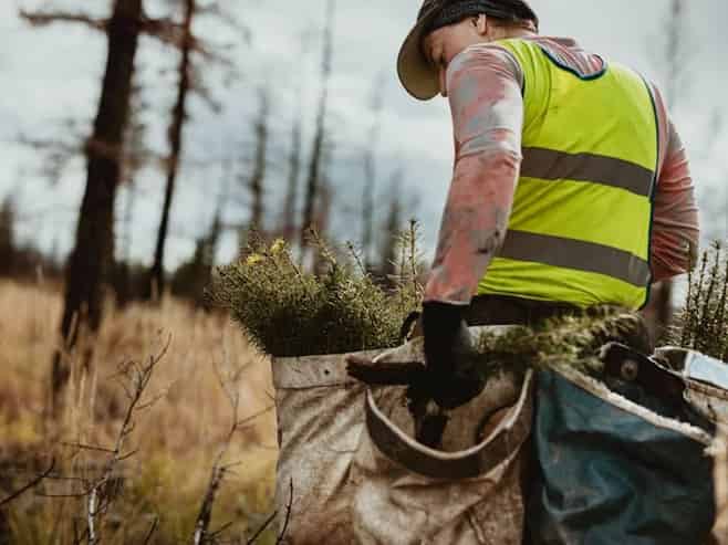 Silviculture Specialists  | South Island