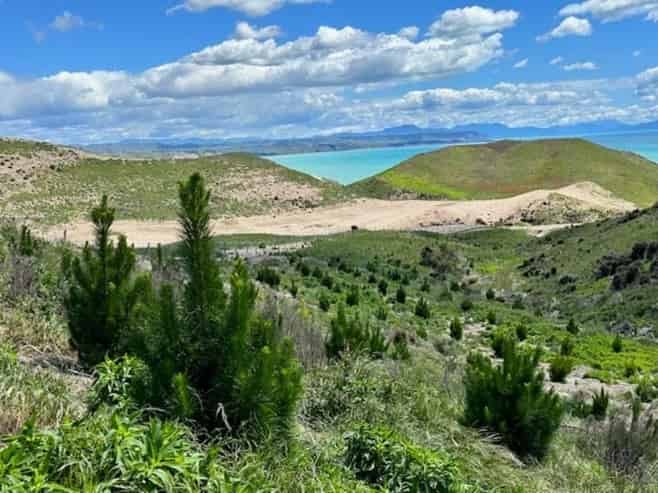 Silviculture Specialists  | South Island