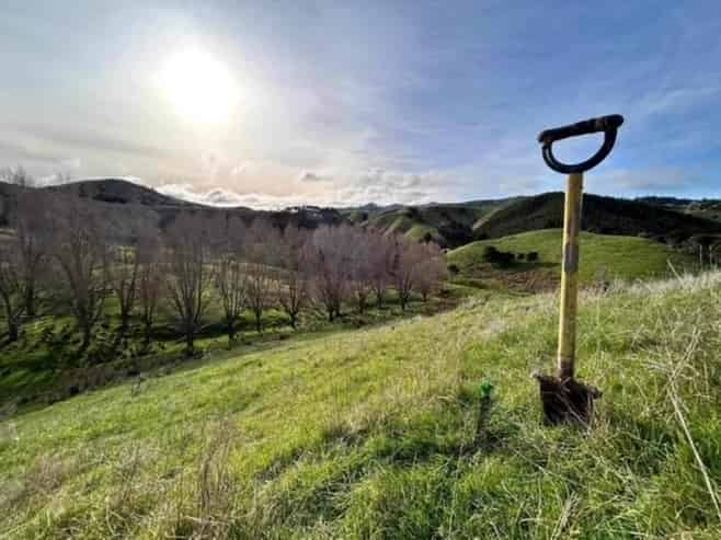 Silviculture Specialists  | South Island