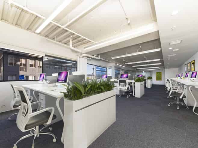 Parnell premium office opportunity