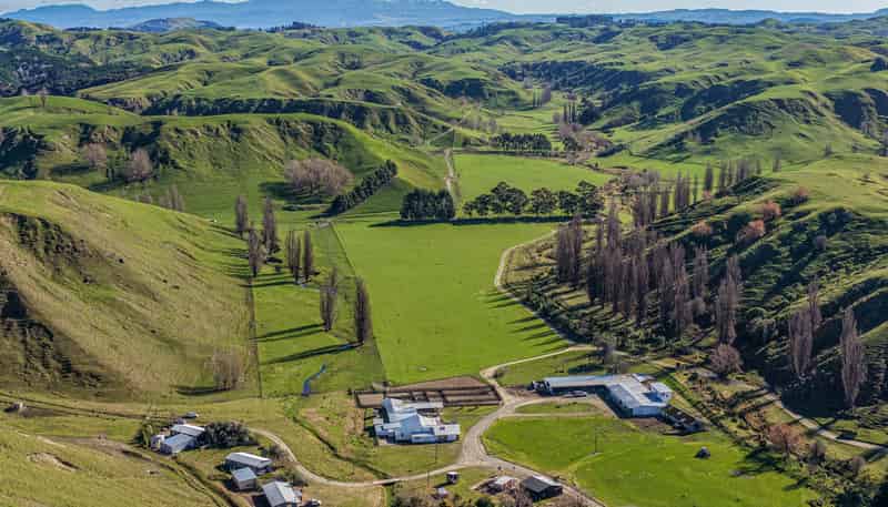 717 Puketitiri Road, Puketapu