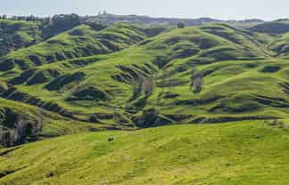 717 Puketitiri Road, Puketapu