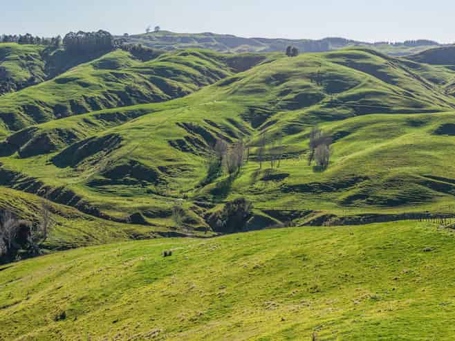 717 Puketitiri Road, Puketapu