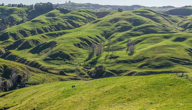 717 Puketitiri Road, Puketapu