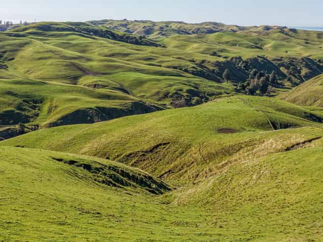 717 Puketitiri Road, Puketapu