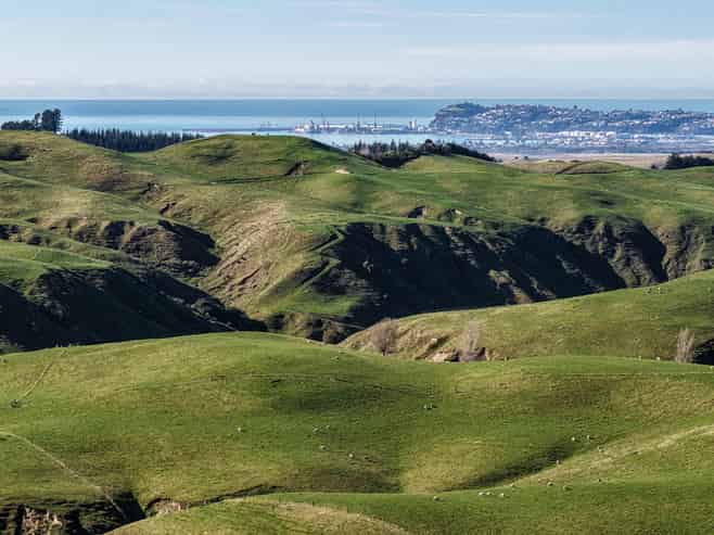 717 Puketitiri Road, Puketapu