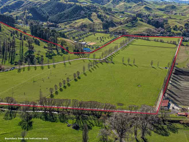 717 Puketitiri Road, Puketapu