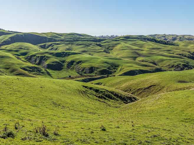 717 Puketitiri Road, Puketapu