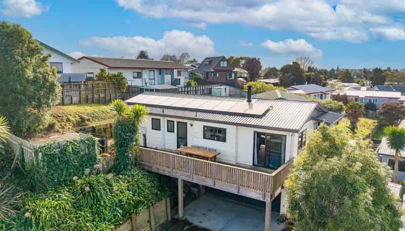 28 Pringle Place, Nawton