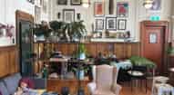 Open gallery