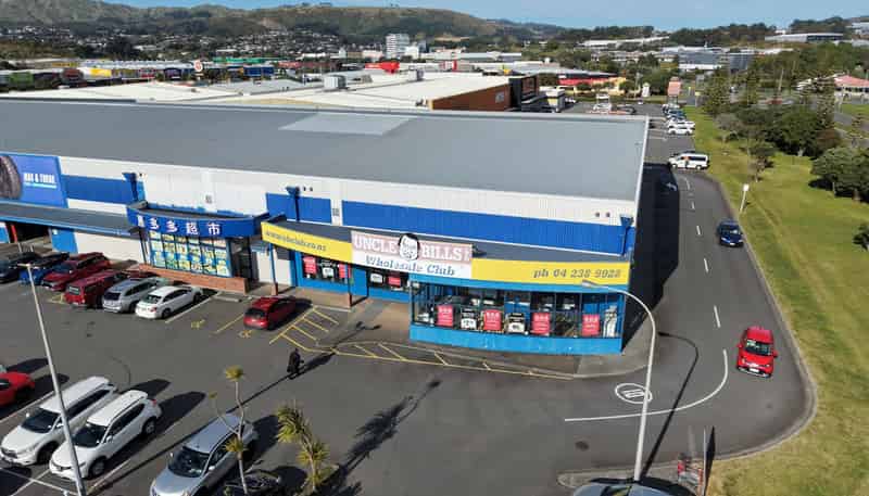 9 Tutuira Place, Porirua