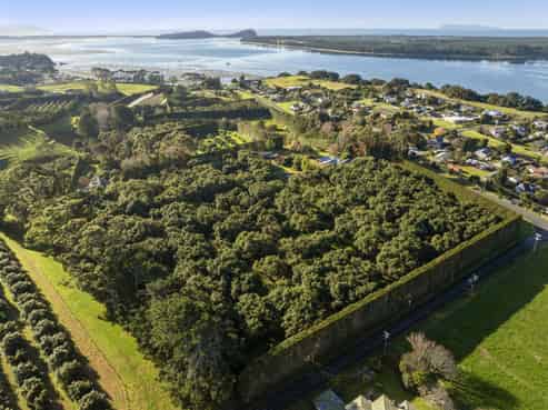 521 Kauri Point Road, Katikati