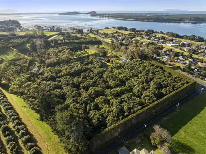 25 Chelmsford Street, Katikati