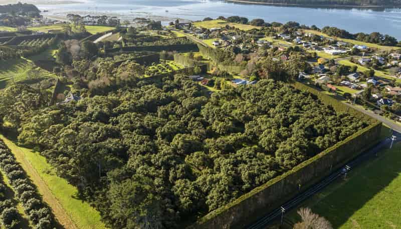 25 Chelmsford Street, Katikati