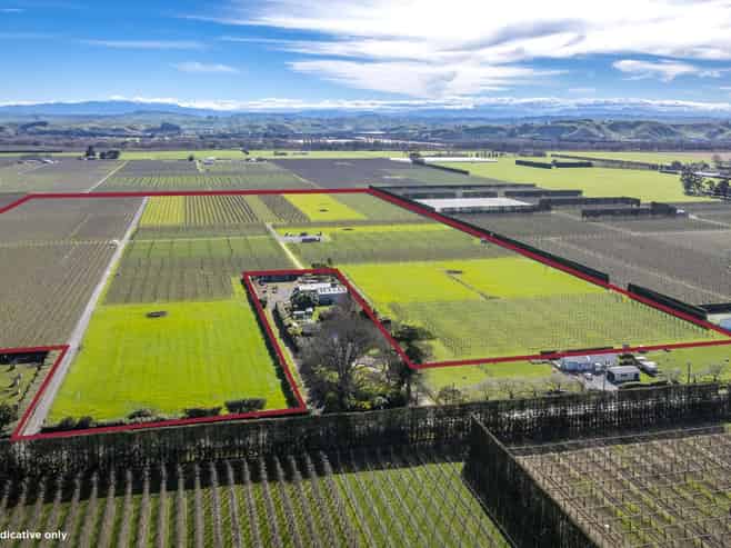  Kiwi Crunch Orchard Portfolio, Twyford