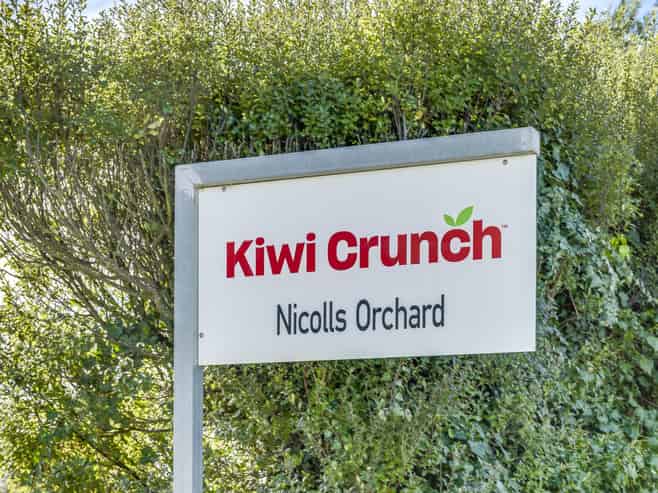  Kiwi Crunch Orchard Portfolio, Twyford