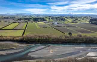  Kiwi Crunch Orchard Portfolio, Twyford