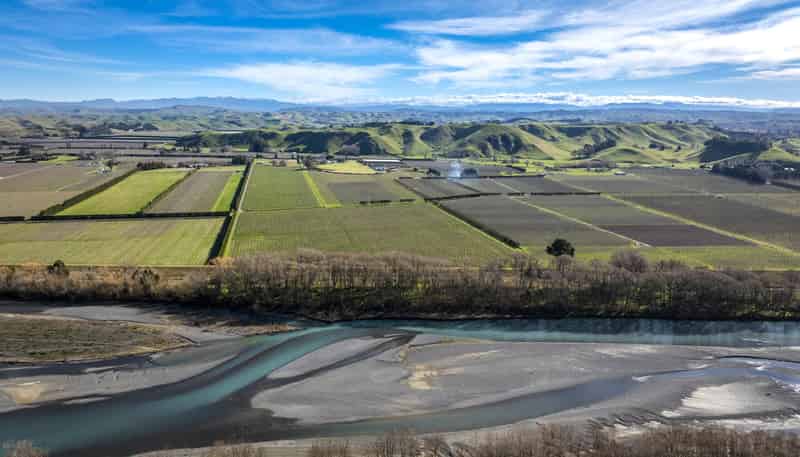  Kiwi Crunch Orchard Portfolio, Twyford